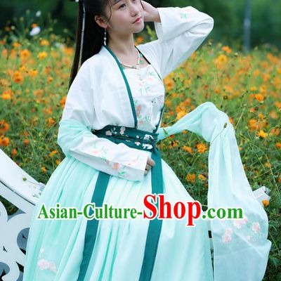 Chinese Tang Dynasty Village Girl Embroidered Costumes Traditional Ancient Young Lady Hanfu Garment Blouse and Skirt Full Set