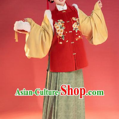 China Traditional Ming Dynasty Young Lady Historical Clothing Ancient Patrician Beauty Winter Hanfu Costume