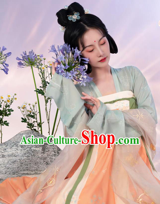 China Ancient Court Lady Hanfu Dress Apparels Traditional Tang Dynasty Historical Clothing China Ancient Court Lady Hanfu Dress Apparels Traditional Tang Dynasty Historical Clothing