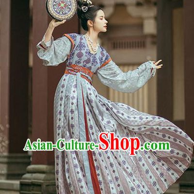 Traditional China Tang Dynasty Historical Clothing Ancient Palace Lady Dance Embroidered Hanfu Dress