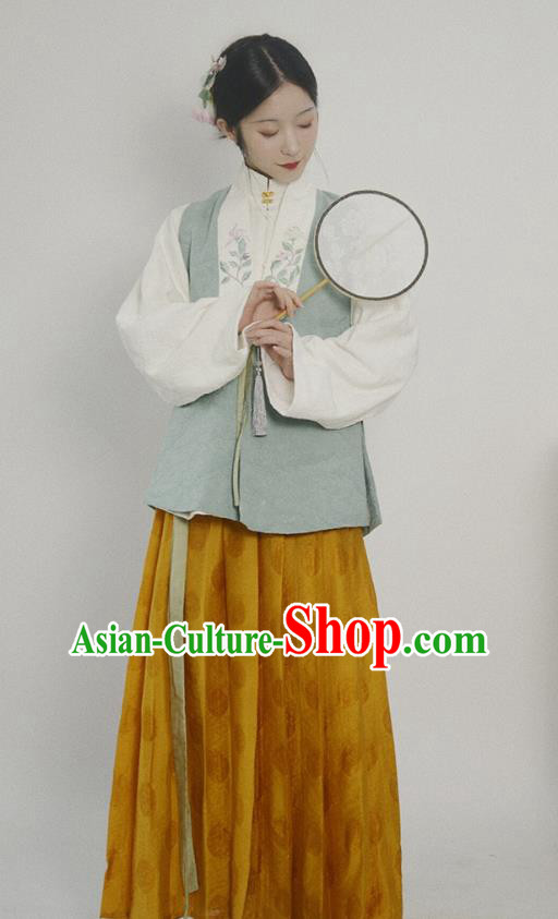 China Ancient Patrician Beauty Hanfu Costumes Traditional Ming Dynasty Historical Clothing China Ancient Patrician Beauty Hanfu Costumes Traditional Ming Dynasty Historical Clothing
