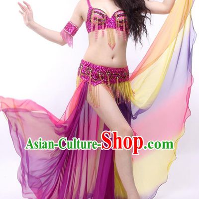 Asian Indian Belly Dance Stage Performance Clothing Traditional India Raks Sharki Purple Outfits