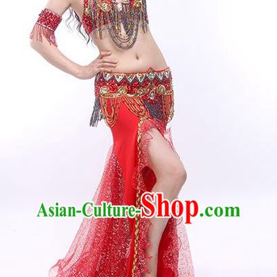 India Oriental Dance Bra and Skirt Outfits Traditional Asian Indian Belly Dance Stage Performance Red Clothing