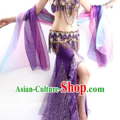 India Oriental Dance Belly Dance Bra and Skirt Outfits Traditional Asian Indian Stage Performance Dance Purple Clothing