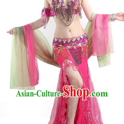 Traditional Oriental Dance Rosy Outfits India Belly Dance Bra and Skirt Asian Indian Raks Sharki Dance Clothing