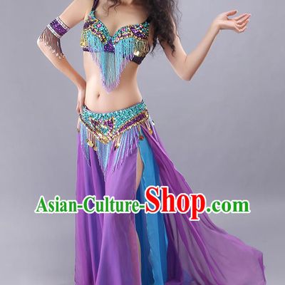 Traditional Asian Indian Belly Dance Clothing India Raks Sharki Tassel Bra and Purple Skirt Outfits