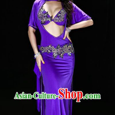 Traditional Indian Belly Dance Performance Purple Outfits Asian Oriental Dance Stage Costumes