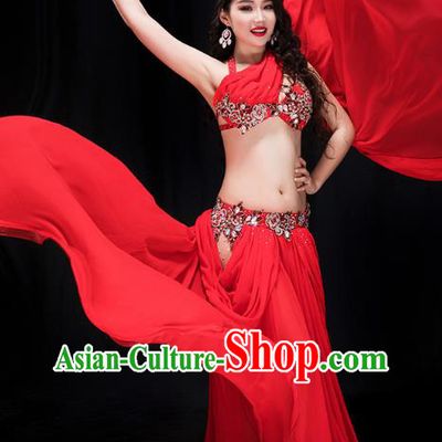 Traditional Asian Oriental Dance Stage Performance Clothing Indian Belly Dance Red Bra and Skirt Outfits