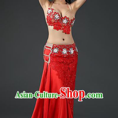 Asian Oriental Dance Embroidered Bra and Red Skirt Traditional Indian Belly Dance Stage Performance Outfits Clothing