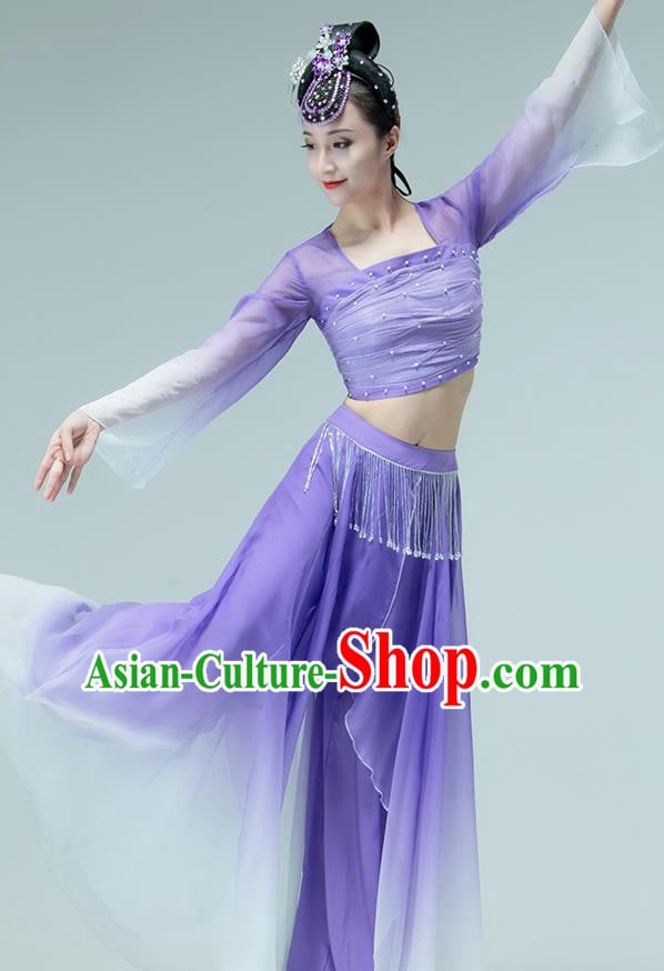 Professional Chinese Classical Dance Performance Clothing Fan Dance Violet Outfits