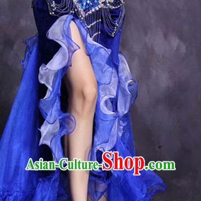 Asian India Oriental Dance Raks Sharki Costume Top Indian Belly Dance Royalblue Sexy Skirt