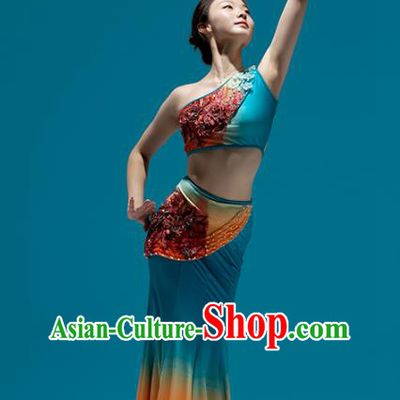 Chinese Traditional Dai Nationality Peacock Dance Dress Yunnan Ethnic Performance Clothing