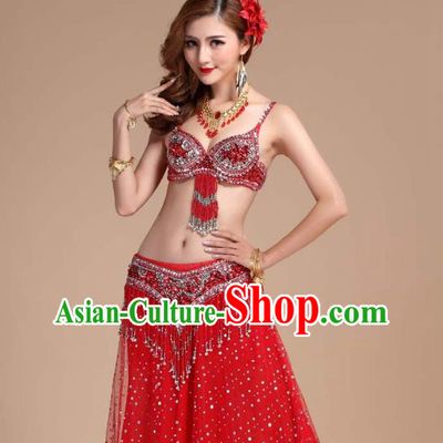 India Belly Dance Performance Clothing Indian Oriental Dance Uniforms Asian Traditional Raks Sharki Red Bra and Skirt