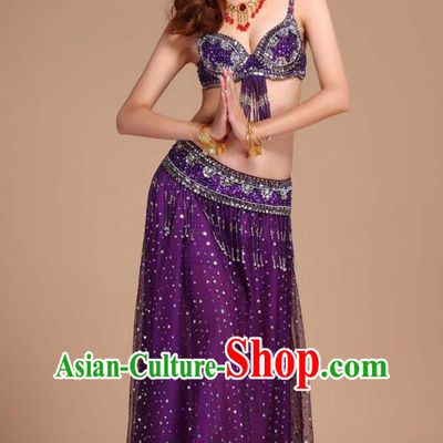 Asian Traditional Oriental Dance Purple Bra and Skirt Uniforms Indian Belly Dance Competition Clothing