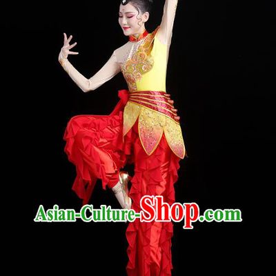 China Traditional New Year Yangko Dance Clothing Folk Dance Drum Dance Outfits