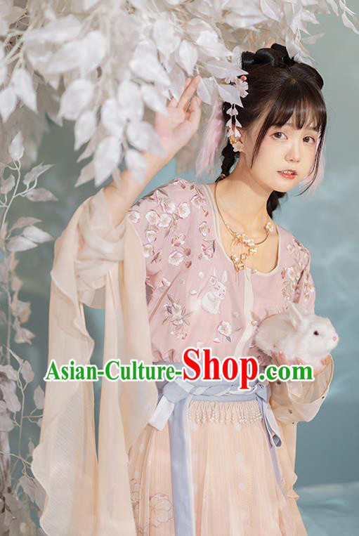 China Ancient Young Girl Hanfu Dress Traditional Tang Dynasty Village Lady Historical Clothing China Ancient Young Girl Hanfu Dress Traditional Tang Dynasty Village Lady Historical Clothing