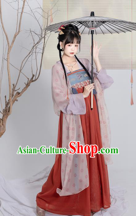 China Traditional Red Hanfu Dress Ancient Tang Dynasty Palace Princess Historical Clothing China Traditional Red Hanfu Dress Ancient Tang Dynasty Palace Princess Historical Clothing