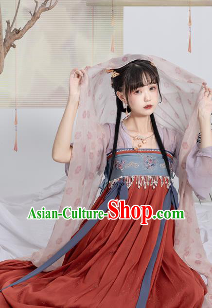 China Traditional Red Hanfu Dress Ancient Tang Dynasty Palace Princess Historical Clothing China Traditional Red Hanfu Dress Ancient Tang Dynasty Palace Princess Historical Clothing