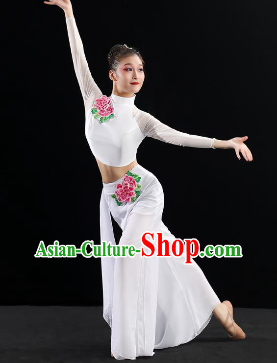 Chinese Umbrella Dance Clothing Traditional Classical Dance Costumes Woman Solo Dance White Outfits Chinese Umbrella Dance Clothing Traditional Classical Dance Costumes Woman Solo Dance White Outfits