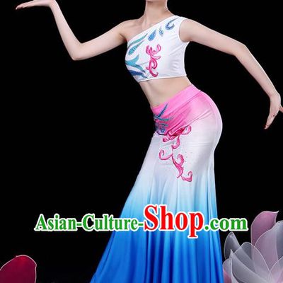 Chinese Yunnan Ethnic Peacock Dance Costume Traditional Dai Minority Nationality Stage Performance Dress Outfits