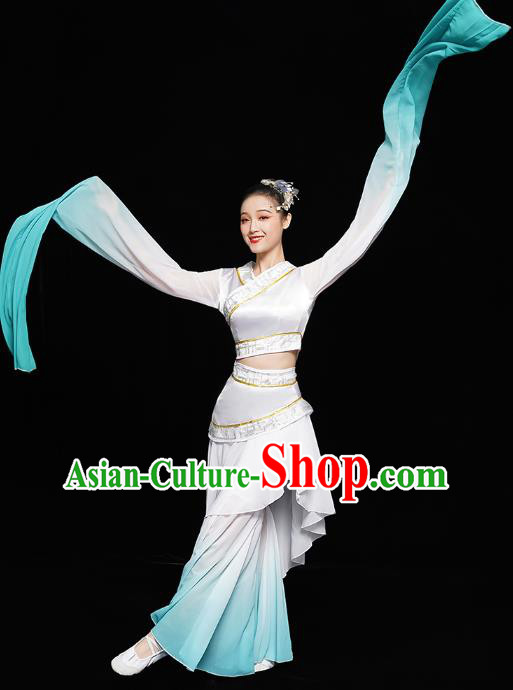 Chinese Classical Dance Performance Clothing Water Sleeve Dress Traditional Court Dance Costumes Chinese Classical Dance Performance Clothing Water Sleeve Dress Traditional Court Dance Costumes