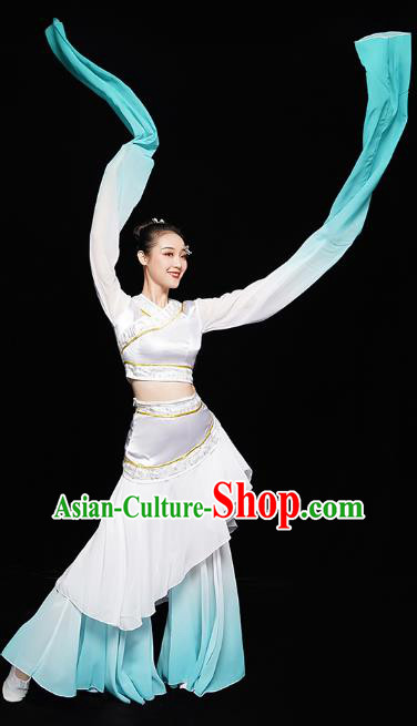 Chinese Classical Dance Performance Clothing Water Sleeve Dress Traditional Court Dance Costumes Chinese Classical Dance Performance Clothing Water Sleeve Dress Traditional Court Dance Costumes