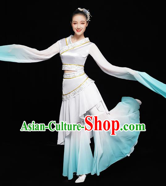 Chinese Classical Dance Performance Clothing Water Sleeve Dress Traditional Court Dance Costumes Chinese Classical Dance Performance Clothing Water Sleeve Dress Traditional Court Dance Costumes