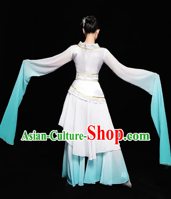 Chinese Classical Dance Performance Clothing Water Sleeve Dress Traditional Court Dance Costumes Chinese Classical Dance Performance Clothing Water Sleeve Dress Traditional Court Dance Costumes