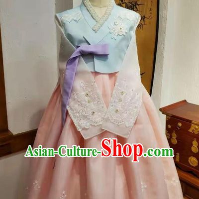 Asian Korea Bride Blue Blouse and Pink Dress Garments Traditional Fashion Korean Wedding Hanbok Clothing