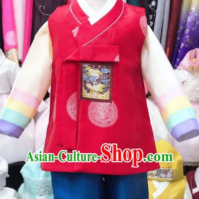 Korean Traditional Stage Performance Hanbok Clothing Children Boy Garment Costume Prince Outfits