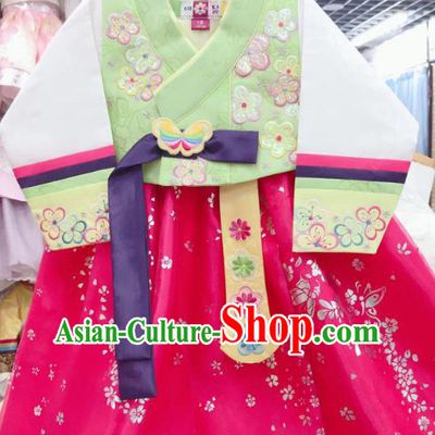 Asian Korea Girl Performance Green Blouse and Rosy Dress Traditional Korean Fashion Garments Court Hanbok Clothing