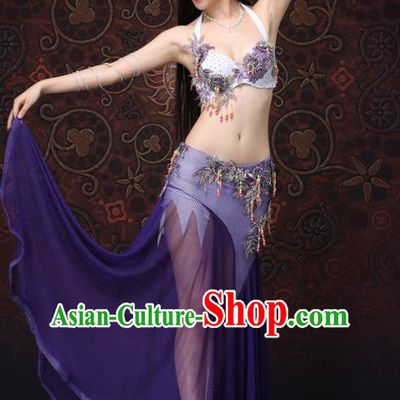 Asian Raks Sharki Performance Purple Uniforms Indian Belly Dance Costumes Oriental Dance Bra and Skirt