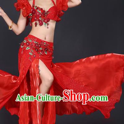 Indian Oriental Dance Red Bra and Skirt Uniforms Asian Belly Dance Training Costumes