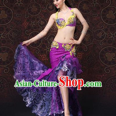 Asian Belly Dance Costumes Indian Raks Sharki Bra and Skirt Oriental Dance Purple Uniforms