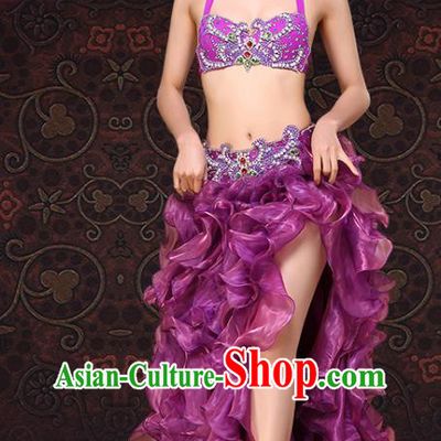 Asian Raks Sharki Bra and Skirt Indian Oriental Dance Clothing Belly Dance Purple Dress