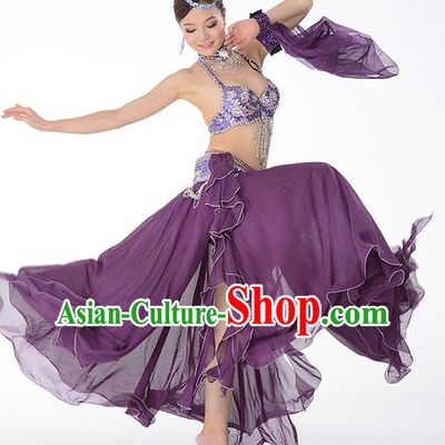 Traditional Indian Belly Dance Purple Bra and Skirt Uniforms Asian Oriental Dance Raks Sharki Costume