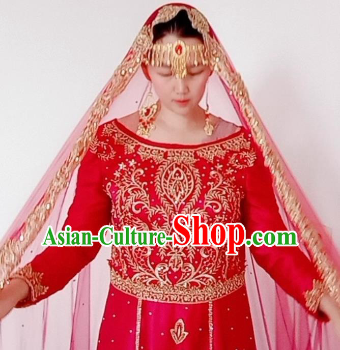 Asian India Bride Red Sari Dress Garment Indian Traditional Wedding Saree Clothing Asian India Bride Red Sari Dress Garment Indian Traditional Wedding Saree Clothing