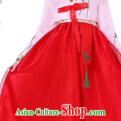 Korean Children Performance Garment Costumes Asian Traditional Hanbok Clothing Korea Girl Birthday Embroidered Pink Blouse and Red Dress