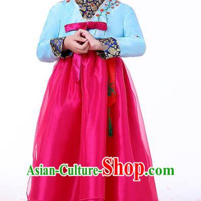 Korea Girl Birthday Embroidered Blue Blouse and Rosy Dress Korean Children Performance Garment Costumes Asian Traditional Hanbok Clothing