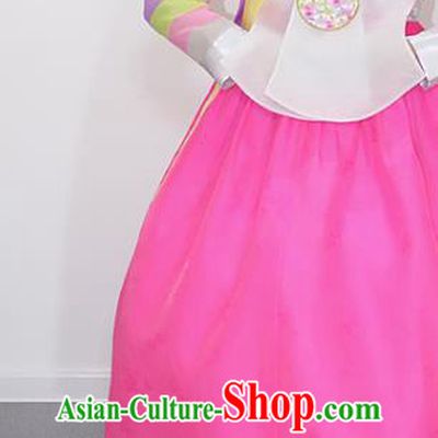 Korean Bride Mother White Blouse and Rosy Dress Traditional Fashion Garments Asian Korea Court Dance Hanbok Clothing