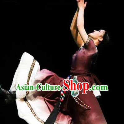 Chinese Zang Nationality Woman Dance Clothing Traditional Ethnic Stage Performance Brown Dress Outfits Tibetan Minority Dance Apparels