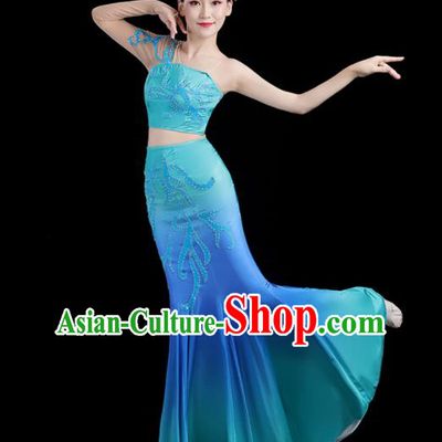 Chinese Dai Nationality Stage Performance Blue Dress Outfits Tai Minority Peacock Dance Clothing Yunnan Ethnic Pavane Dance Costumes
