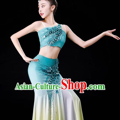 Chinese Yunnan Folk Dance Garment Costumes Ethnic Peacock Dance Blue Dress Outfits Dai Nationality Female Performance Clothing