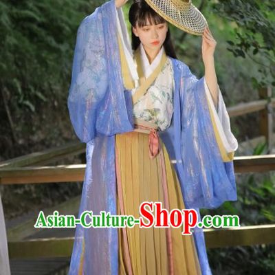 Chinese Ancient Swordswoman Dress Garments Jin Dynasty Historical Costumes Traditional Hanfu Young Lady Clothing