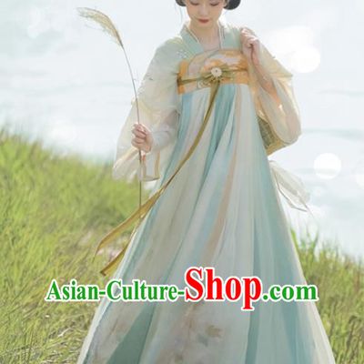 Chinese Ancient Young Lady Dress Tang Dynasty Garment Costumes Traditional Hanfu Clothing