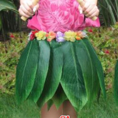 Top Hawaiian Dance Costume Green Leaf Skirt Jungle Theme Performance Clothing