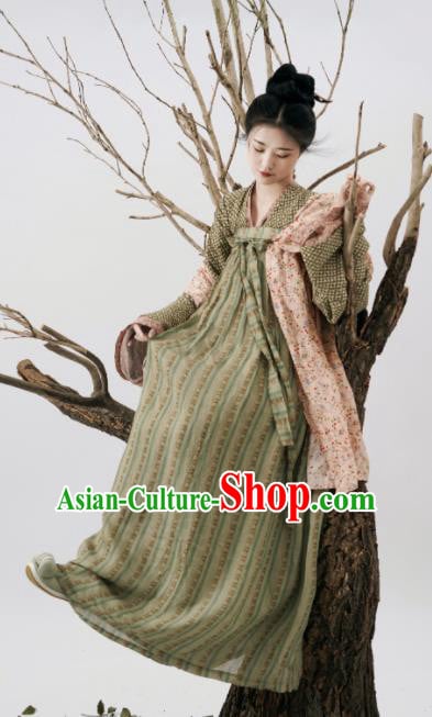 Chinese Ancient Country Lady Dress Tang Dynasty Hanfu Traditional Garment Costumes Complete Set Chinese Ancient Country Lady Dress Tang Dynasty Hanfu Traditional Garment Costumes Complete Set