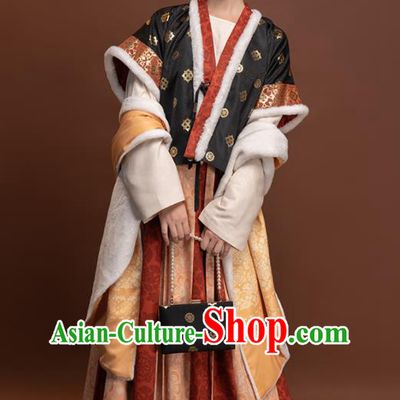 Chinese Ancient Palace Lady Clothing Winter Traditional Hanfu Dresses Tang Dynasty Young Beauty Garment Costumes