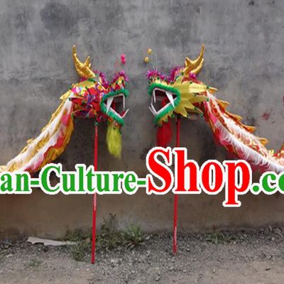 Top Dragon Dance Prop Costume for 2 Persons