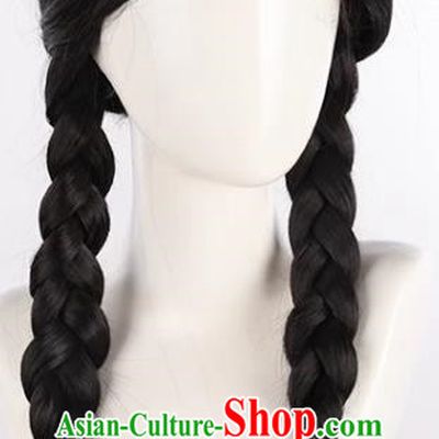 Black Middle Parted Braided Cos Wig